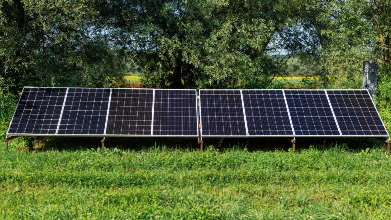 solar-panels-ground-nature-greenery-around-min